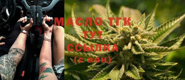 дмт Надым