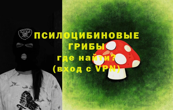 ПСИЛОЦИБИНОВЫЕ ГРИБЫ Наволоки