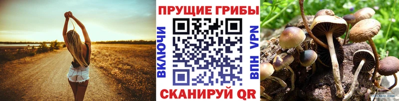 как найти закладки  Чёрмоз  Галлюциногенные грибы мицелий 